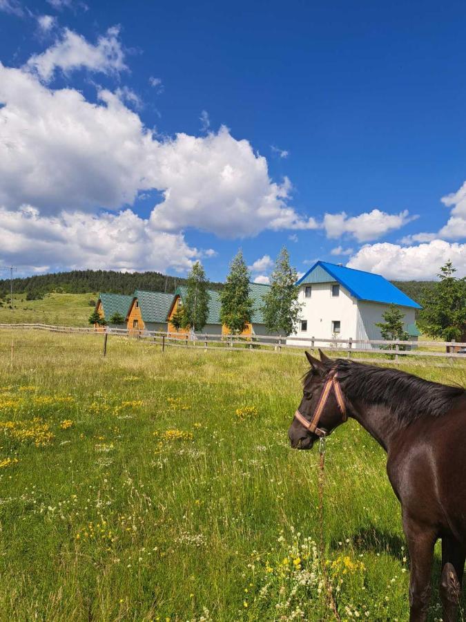 Vule Bungalovi Žabljak Exteriör bild