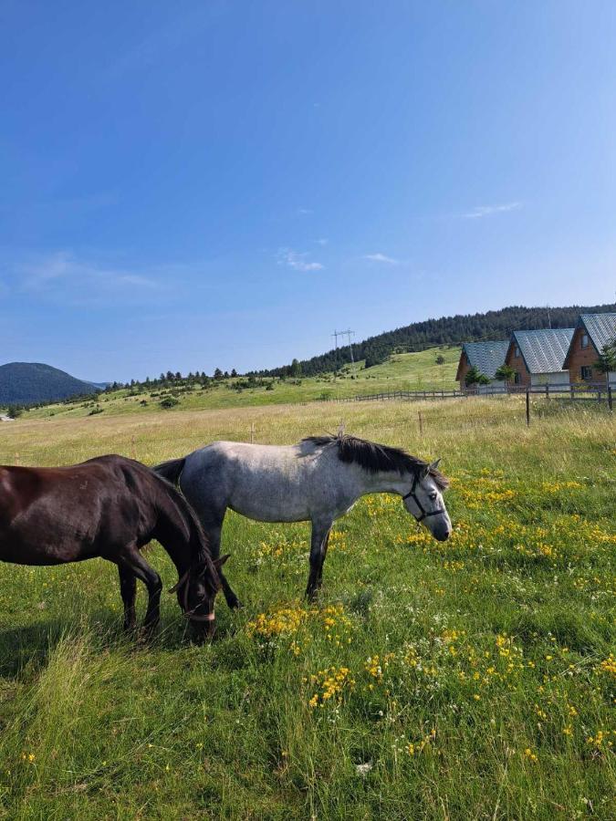 Vule Bungalovi Žabljak Exteriör bild